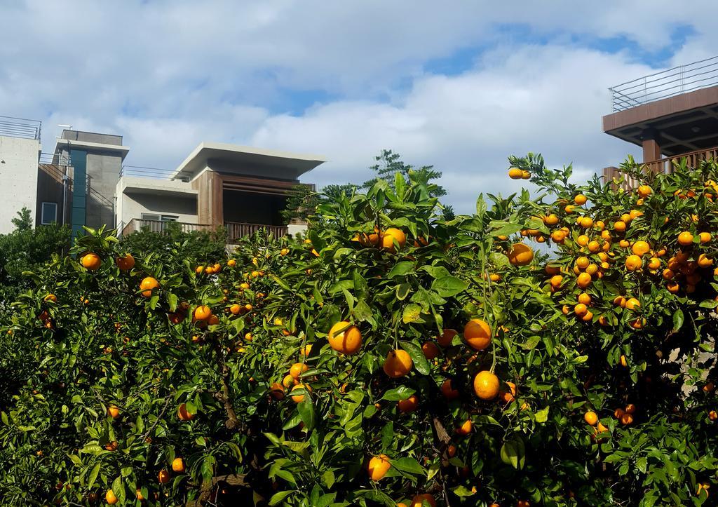 Jeju Eco Suites Sogüpcho Exteriér fotografie
