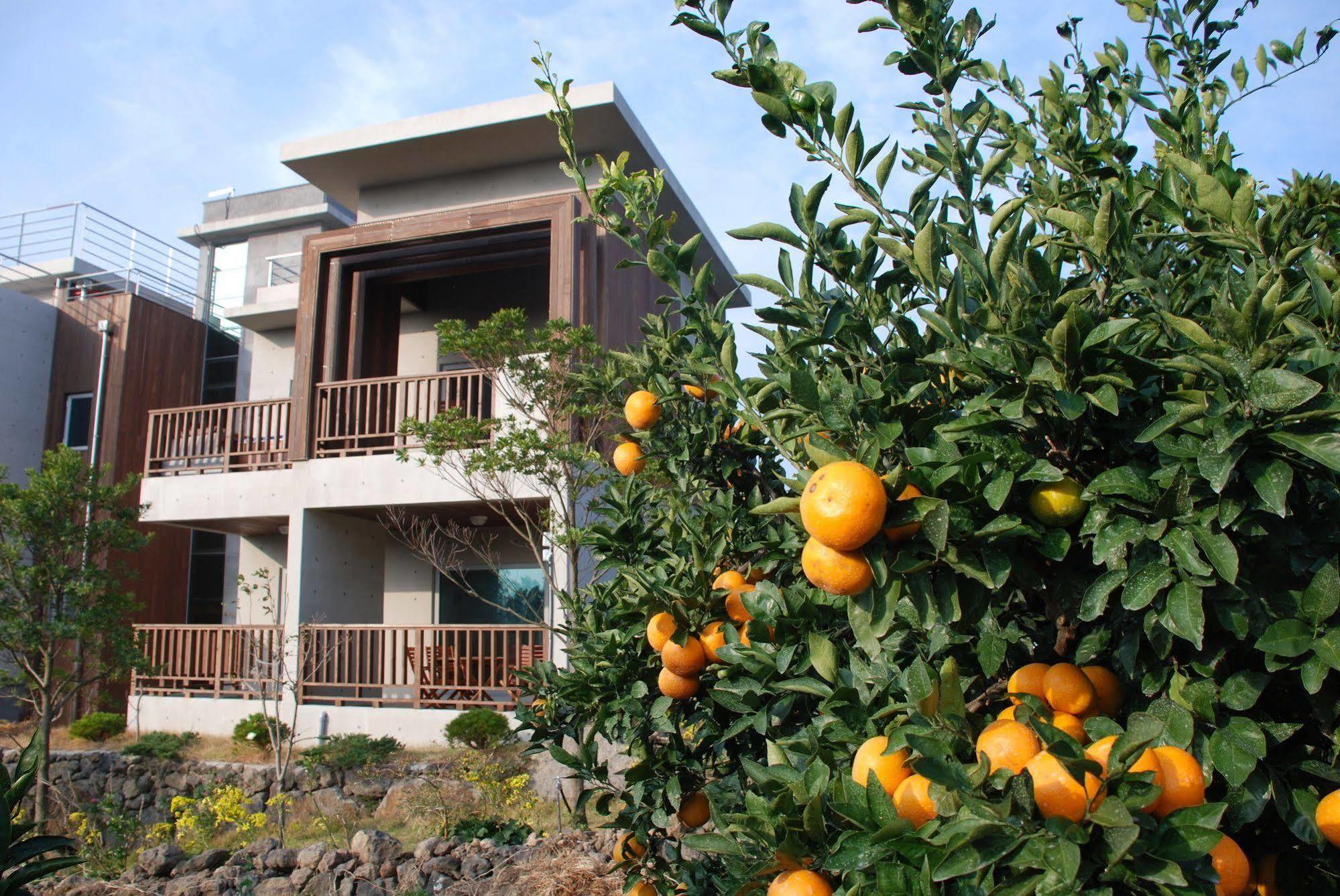 Jeju Eco Suites Sogüpcho Exteriér fotografie