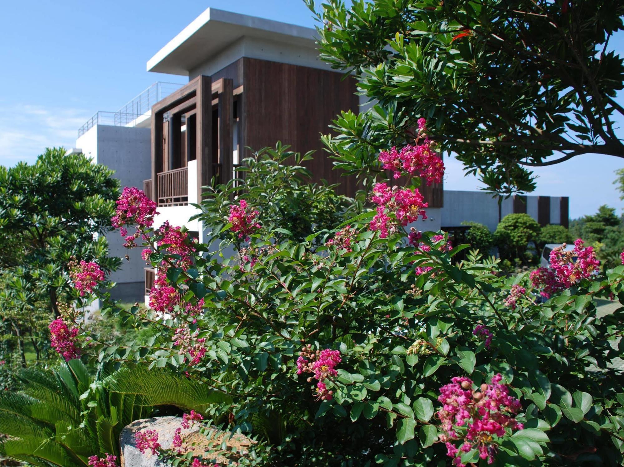 Jeju Eco Suites Sogüpcho Exteriér fotografie
